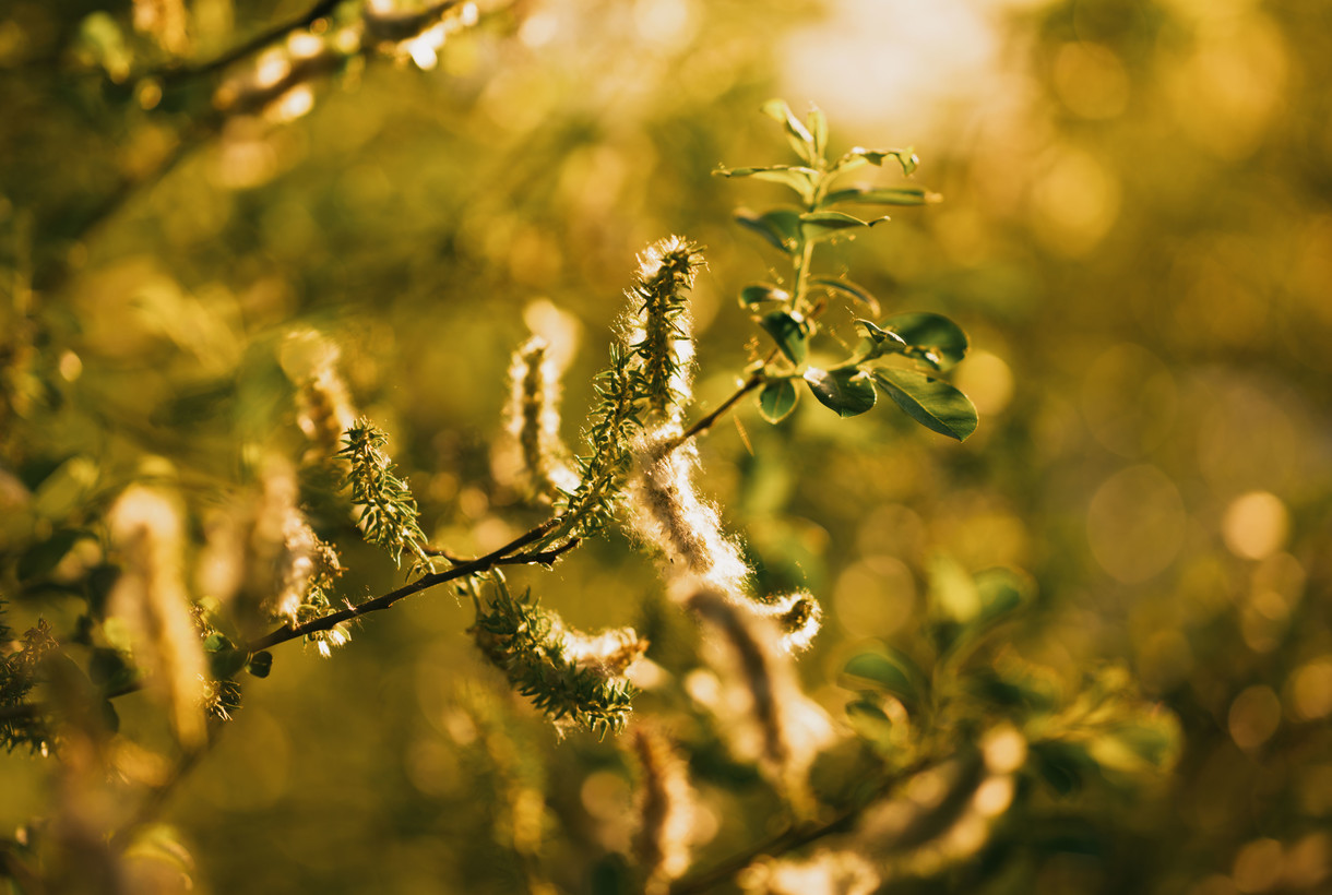 nature éco-responsable